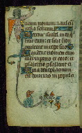 W.87, fol. 40v