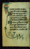 W.87, fol. 44v