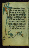 W.87, fol. 45v