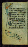 W.87, fol. 47v