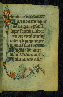 W.87, fol. 49r