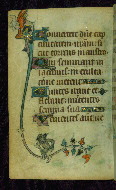 W.87, fol. 51v