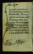 W.87, fol. 55v