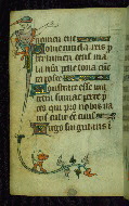 W.87, fol. 58v