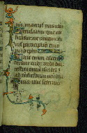 W.87, fol. 59r