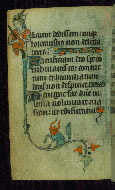 W.87, fol. 61v