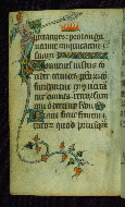 W.87, fol. 75v