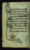 W.87, fol. 81v
