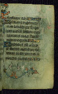 W.87, fol. 82r