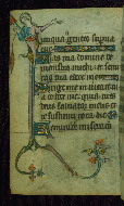 W.87, fol. 94v