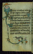 W.87, fol. 96v