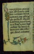 W.87, fol. 100v