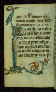 W.87, fol. 101v
