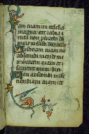 W.87, fol. 106r