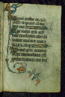 W.87, fol. 110r