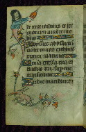 W.87, fol. 110v