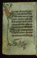 W.87, fol. 111v