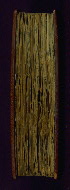 W.87, Fore-edge