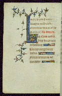 W.89, fol. 26v