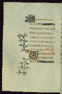 W.89, fol. 28v