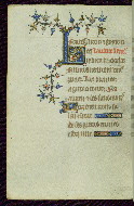W.89, fol. 49v