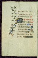 W.89, fol. 56v
