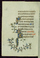 W.89, fol. 69v