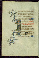 W.89, fol. 80v