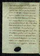 W.9, fol. 351v