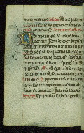 W.95, fol. 110v