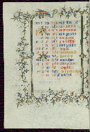 W.96, fol. 6v