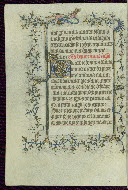 W.96, fol. 17v