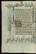 W.96, fol. 20v