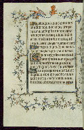 W.96, fol. 31v