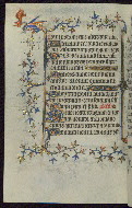 W.96, fol. 38v