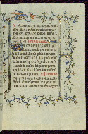 W.96, fol. 41r
