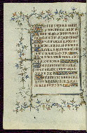 W.96, fol. 43v