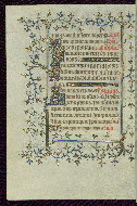 W.96, fol. 118v