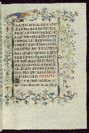 W.96, fol. 149r