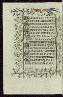 W.96, fol. 164v
