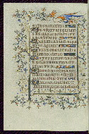 W.96, fol. 176v