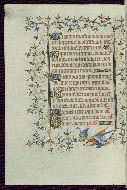 W.96, fol. 196v