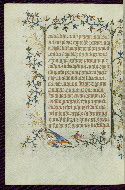 W.96, fol. 219v
