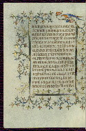 W.96, fol. 224v