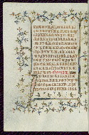W.96, fol. 229v