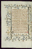 W.96, fol. 231v