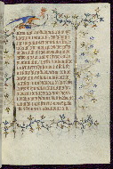 W.96, fol. 242r