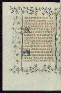 W.96, fol. 246v