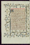 W.96, fol. 265v