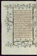 W.96, fol. 295v